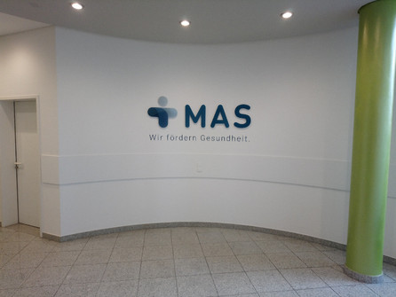 mas-profilbuchstaben-m-rfelden-walldorf.jpg